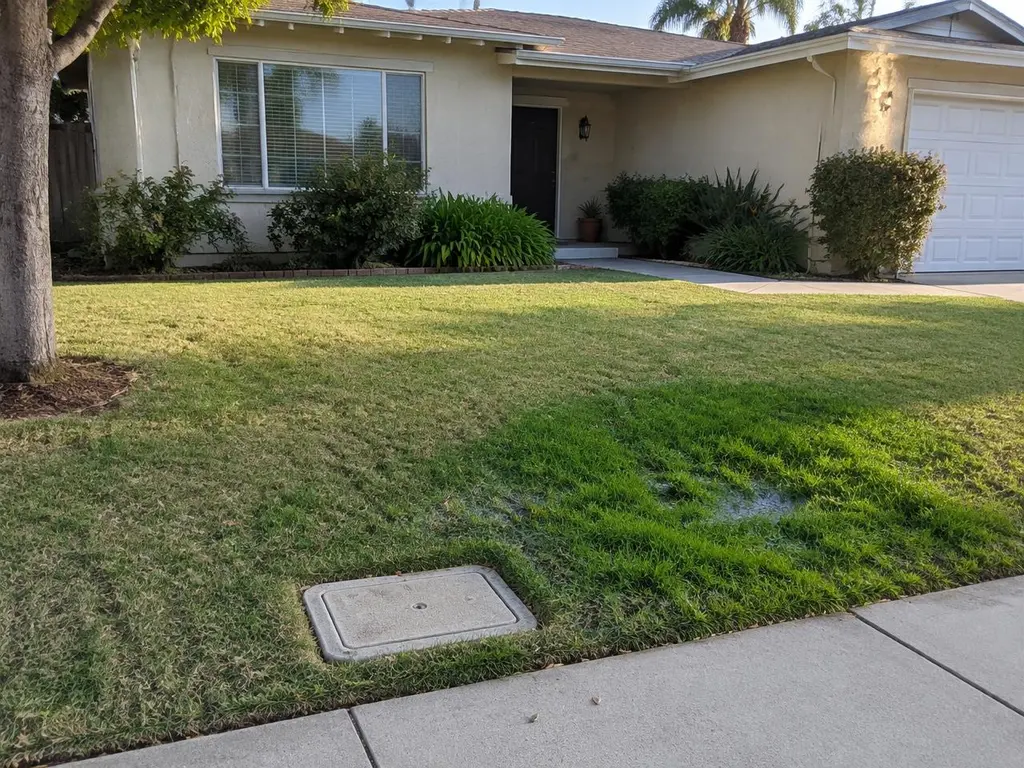 A front lawn with a water meter box near the sidewalk and a greener, soggy patch of grass